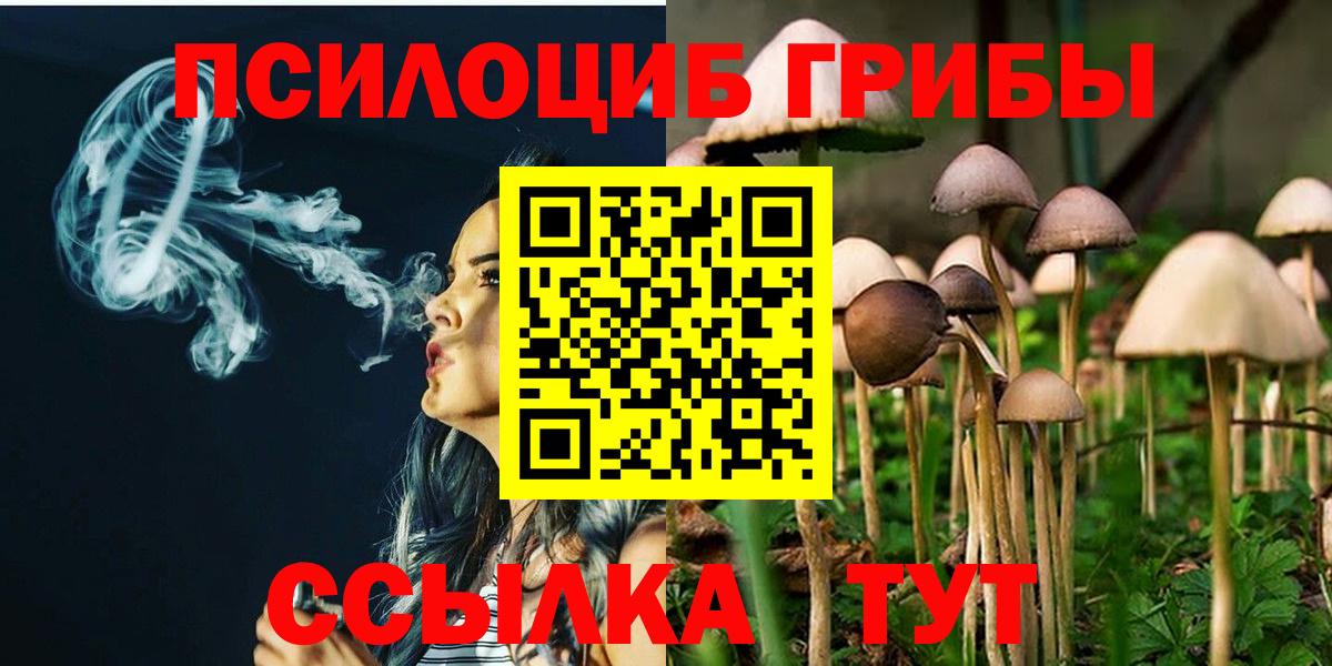 Псилоцибиновые грибы GOLDEN TEACHER Тара